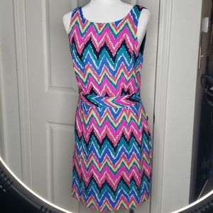 Lilly Pulitzer Pink Zig Zag Dress Size 10